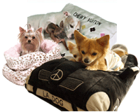 �ׂ��ǂƂ��̑�