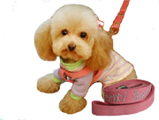 ��ցE��[�ǁE�́[�˂�